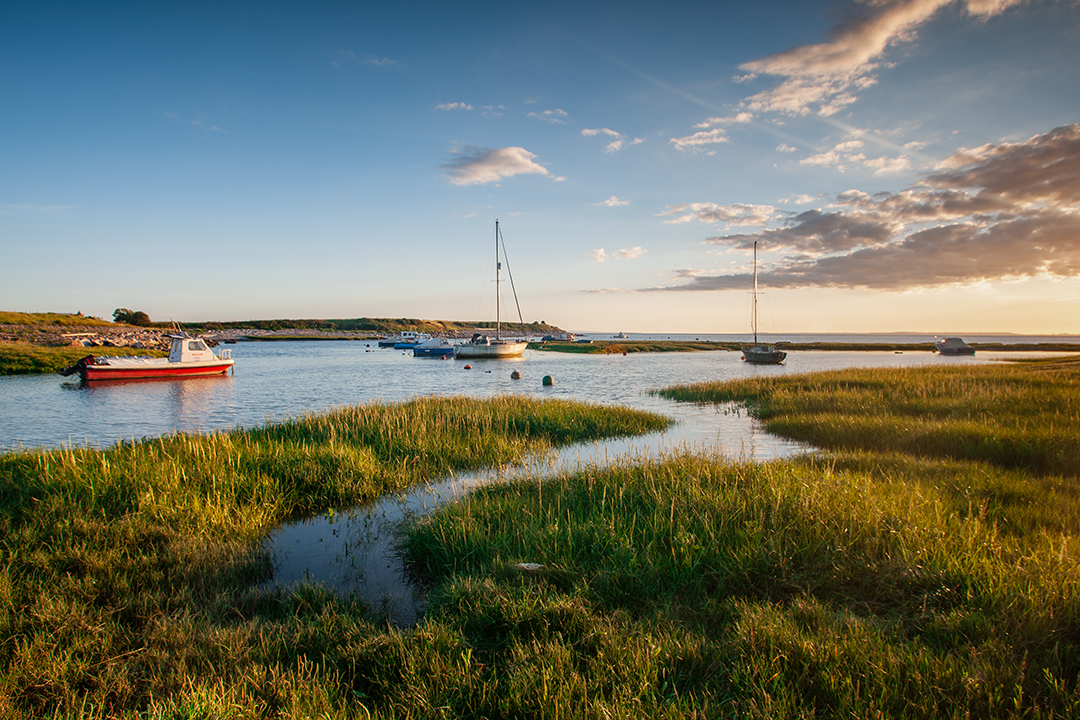 colourful boats pictured in the water with reeds in the foreground